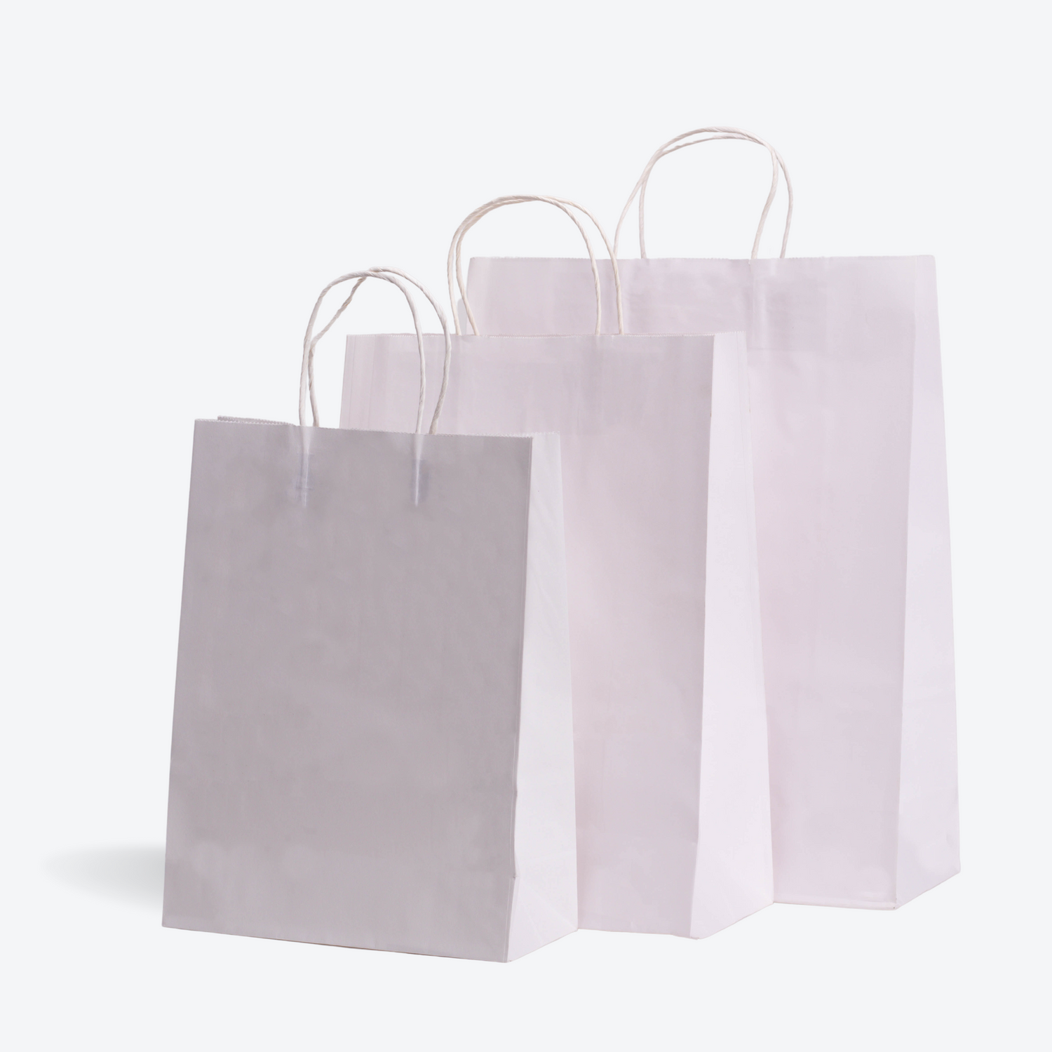 Recycled Paper Bags